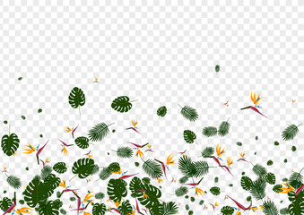 Light Green Strelitzia Background Transparent Vector. Philodendron Hawaiian Design. Red Foliage. Tropical Texture. Orange Spring Backdrop. - obrazy, fototapety, plakaty