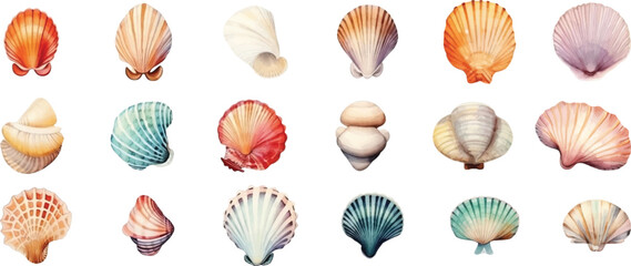 Set of various seashells isolated on white background.