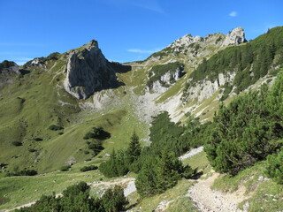 Bergwiesen im Herbst