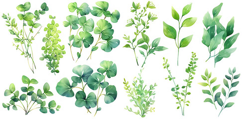  Green plant watercolor illustration clipart. Generative AI