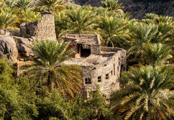 Old house of mountain village Misfat Al Abriyeen surrounded by the garden with date palms, Sultanate of Oman