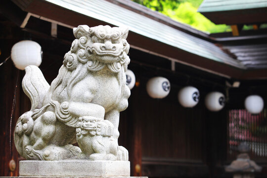 Komainu Bilder Durchsuchen 11,468 Archivfotos, und