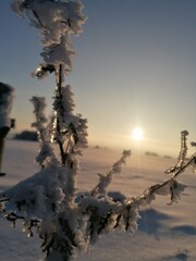 Winterlandschaft mit Sonne und Schnee