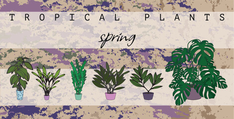 Poster with plants. banner for Earth Day on April 22. background with indoor plants