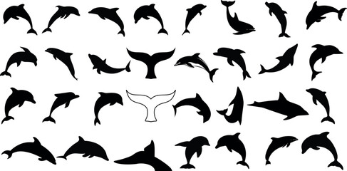 Dolphin silhouette vector, marine-themed design. Various poses of dolphins jumping, diving, swimming. Perfect for oceanic, sea life, marine mammal illustrations. Black dolphins, white background.