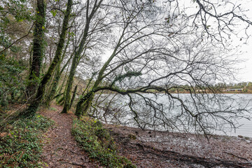 Embalse de Zamáns, en Vigo (Galicia, España)