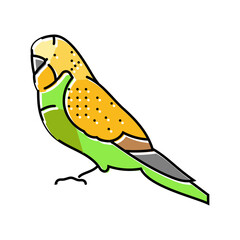 budgerigar parakeet bird parrot color icon vector. budgerigar parakeet bird parrot sign. isolated symbol illustration