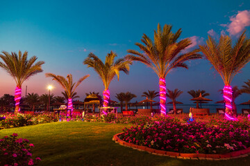 The hotel area on the shores of the Red Sea at night.
