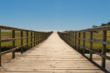 wooden walkway