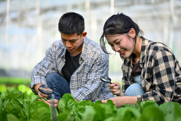 Young smart young farmers examining plant insects in greenhouse. Eco farming, gardening and agribusiness concept