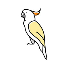 cockatoo parrot bird color icon vector. cockatoo parrot bird sign. isolated symbol illustration