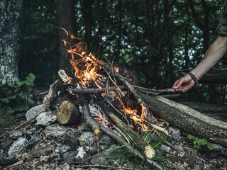 Man hands feeding putting logs firewood on a forest campfire, no face