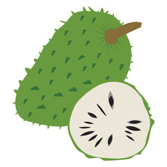 Hand drawn illustration, soursop fruit, also called graviola, guyabano or Annona muricata.