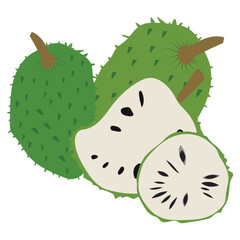 Hand drawn illustration, soursop fruit, also called graviola, guyabano or Annona muricata.