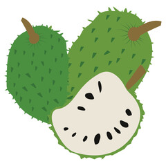 Hand drawn illustration, soursop fruit, also called graviola, guyabano or Annona muricata.