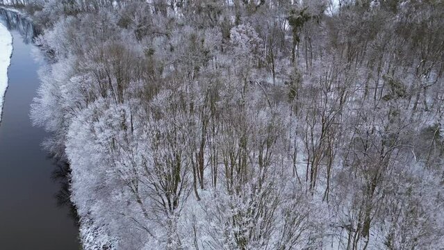 Winter Snow river wood forest cloudy sky Germany. Smooth aerial top view flight overflight flyover drone

4k footage