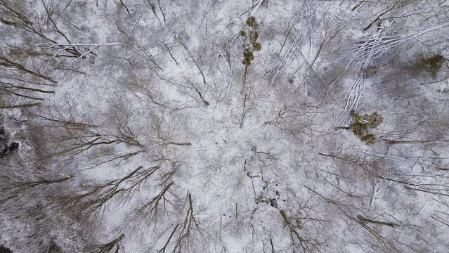 Winter Snow river wood forest cloudy sky Germany. Best aerial top view flight vertical bird's eye view drone

4k footage