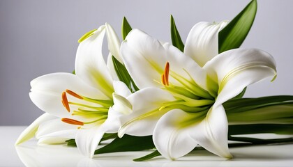 detailed picture of easter Lilies 