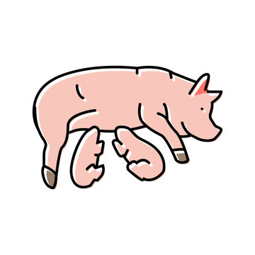 pig piglets farm color icon vector. pig piglets farm sign. isolated symbol illustration