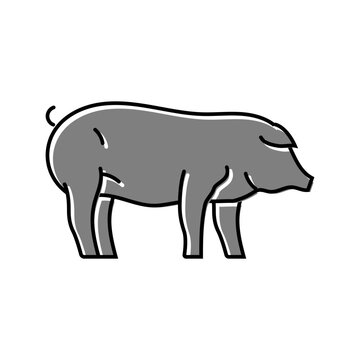 iberico pig breed color icon vector. iberico pig breed sign. isolated symbol illustration