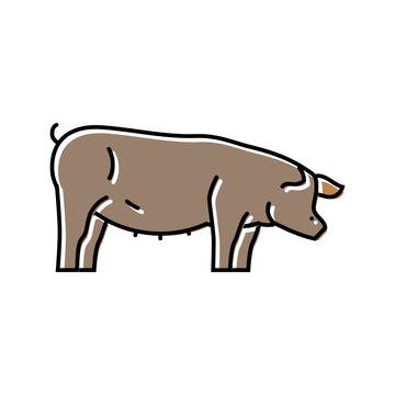 pig field animal color icon vector. pig field animal sign. isolated symbol illustration