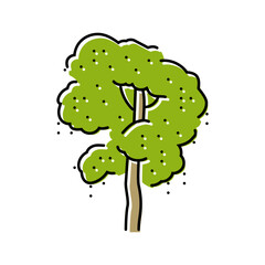 ebony jungle amazon color icon vector. ebony jungle amazon sign. isolated symbol illustration