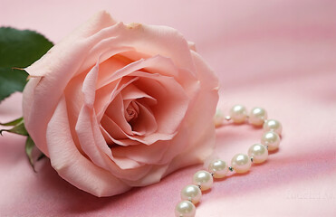 a rose with a pearl necklace on a pink background with a green leaf and a single rose on the side,  jewelry, a still life, romanticism, generative ai