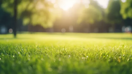 Fotobehang Beautiful blurred background image of spring nature with a neatly trimmed lawn surrounded by trees against a trees in the park a bright sunny day. © radekcho