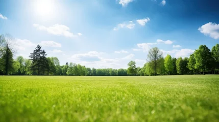 Poster Beautiful blurred background image of spring nature with a neatly trimmed lawn surrounded by trees against a blue sky with clouds on a bright sunny day. © radekcho