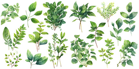 Fototapeta na wymiar Green plant watercolor illustration clipart. Generative AI