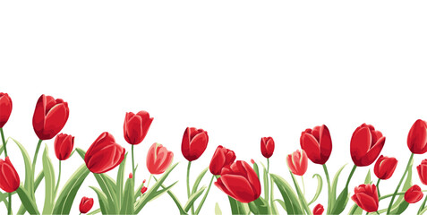 spring background. tulip flower bottom border under the wallpaper. free space for text. - obrazy, fototapety, plakaty