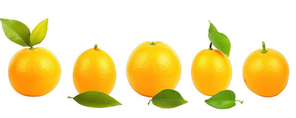 Collection Natural Fresh Orange Fruit On Transparent Background 5