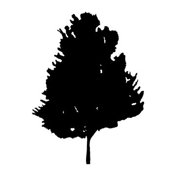 Tree silhouette icon isolated on white background