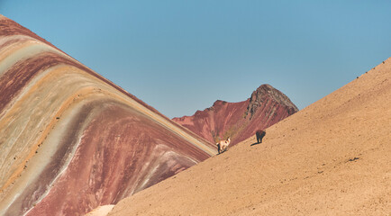 the Vinicunca Rainbow Mountain, Peru South America