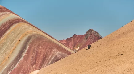 Photo sur Plexiglas Vinicunca the Vinicunca Rainbow Mountain, Peru South America