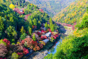 Arashiyama in autumn season along the katsura river in Kyoto, Japan. Autumnal colours view from...