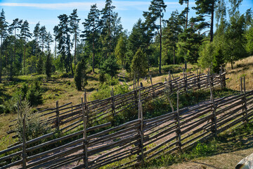 Walk in sweden smalland on a path by the ancient wooden fence. Forest, meadow