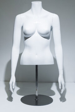 A Female Mannequin Torso With adjustable arms Arms, gloss White Chest . Bust Display on metal pole and base. Fashion model for retail stores to show off clothing. Retail displays.