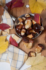 Several Imleria Badia or Boletus badius mushrooms commonly known as the bay bolete and vintage pan with mushrooms on wooden cutting board..