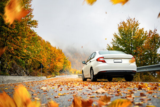 Car on a Road Covered in Autumn Leaves