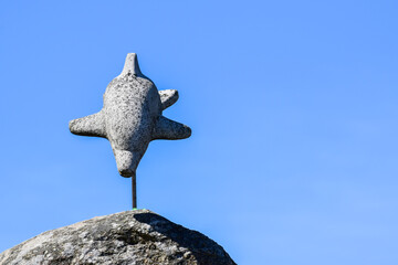 Delfin  © mareguera