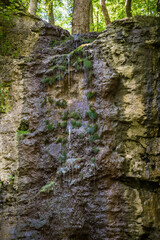 Clifton Gorge State Nature Preserve in Ohio