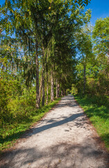 Obraz premium Trail at Cuyahoga Valley National Park in Ohio