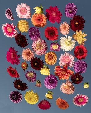 background with colorful summer flowers on mirror reflecting the blue sky