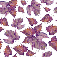 Watercolor seamless pattern of purple grape leaves on a white background