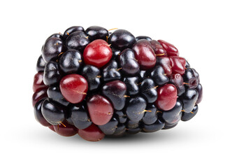  fresh blackberries. Isolated on transparent png