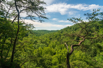 Conkles Hollow State Nature Preserve