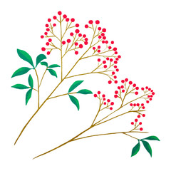  赤い実のついた南天の枝のイラスト