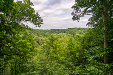 Fototapeta na wymiar Overlook of the Forest at Cuyahoga Valley National Park in Ohio