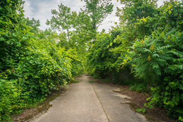 Fototapeta na wymiar Trail at Cuyahoga Valley National Park in Ohio